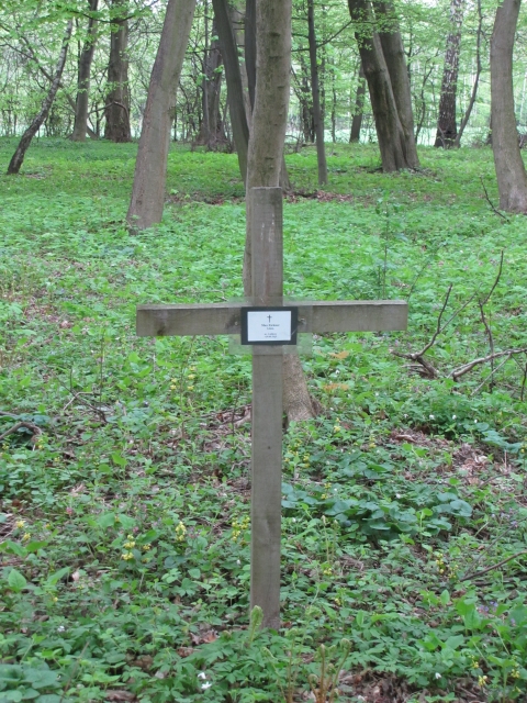 cmentarz Wojsławice